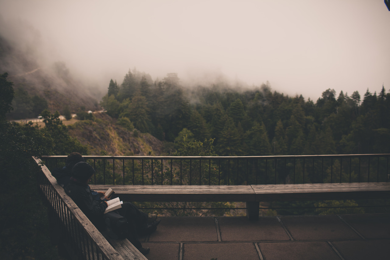 storytelling with code(love)